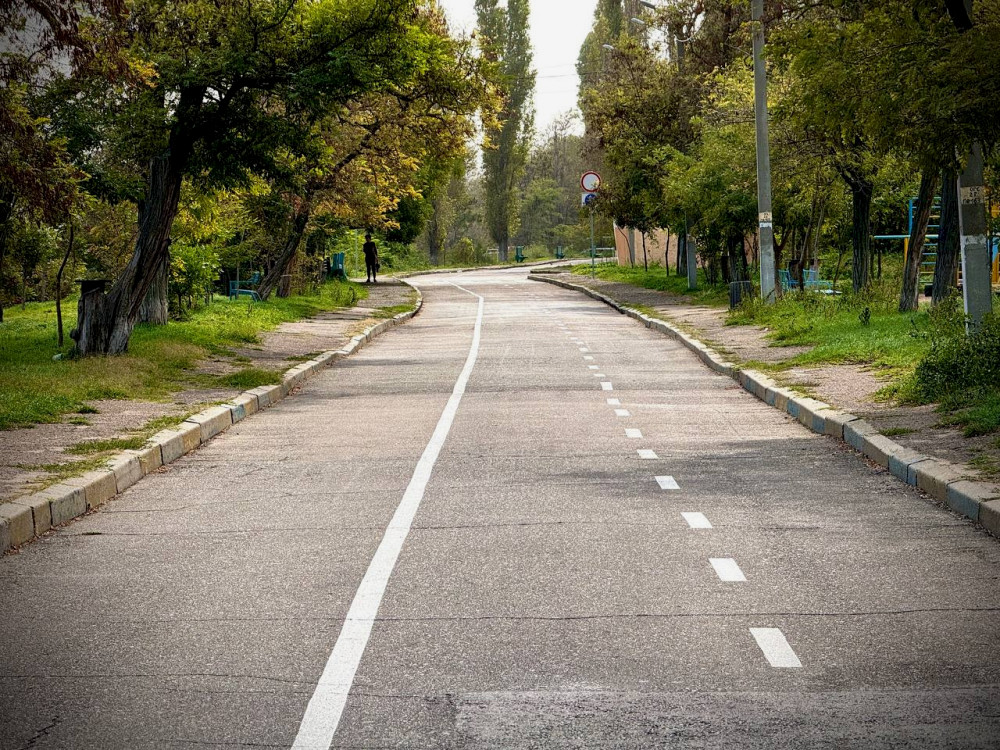 1343 image for slide