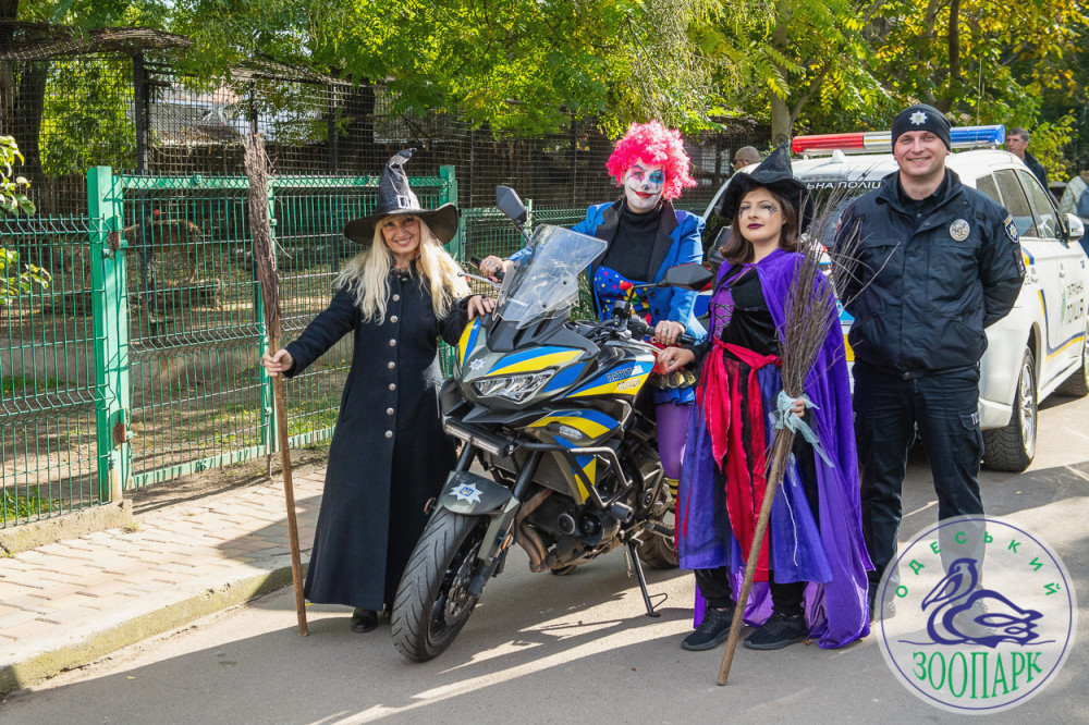 2408 image for slide