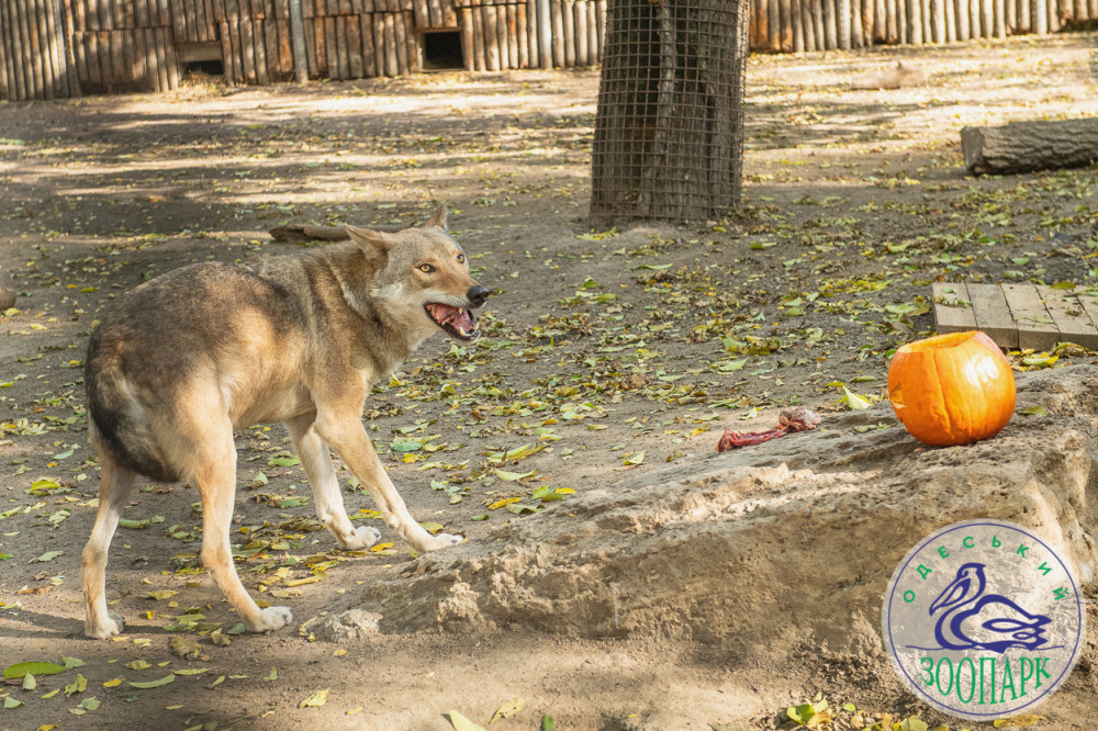 2409 image for slide