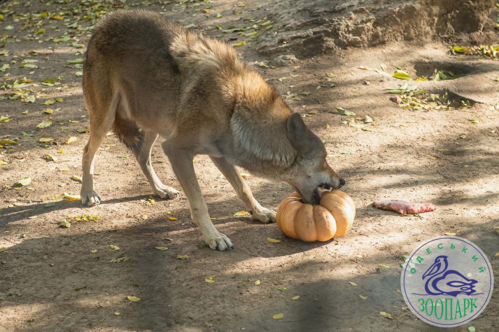 2410 image for slide