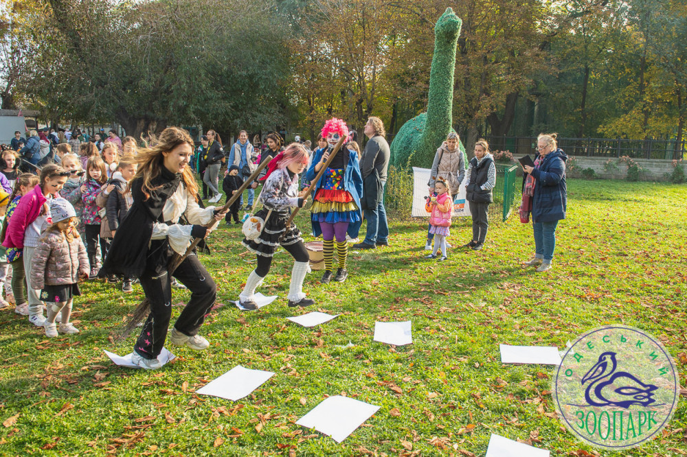 2413 image for slide