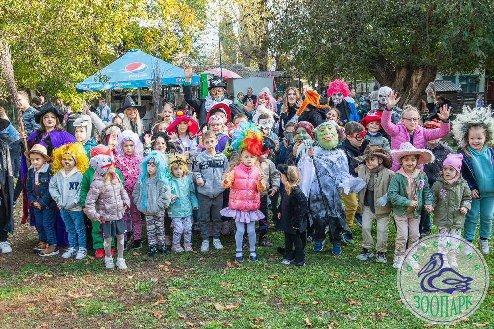 2415 image for slide