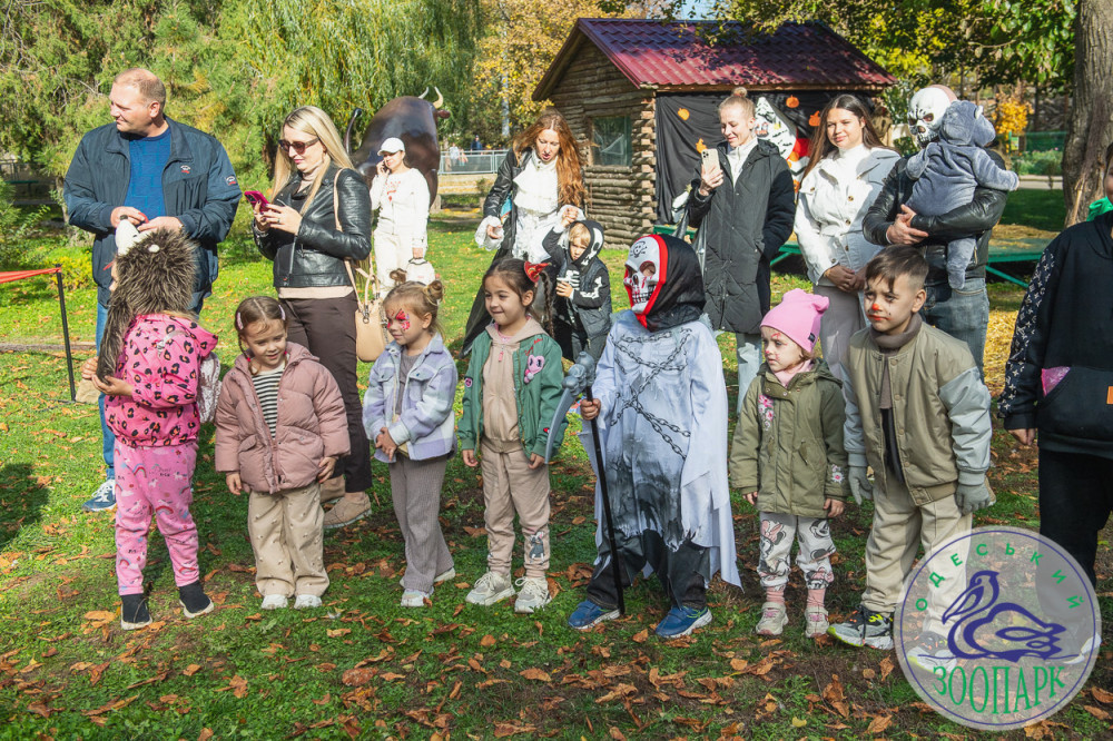 2418 image for slide