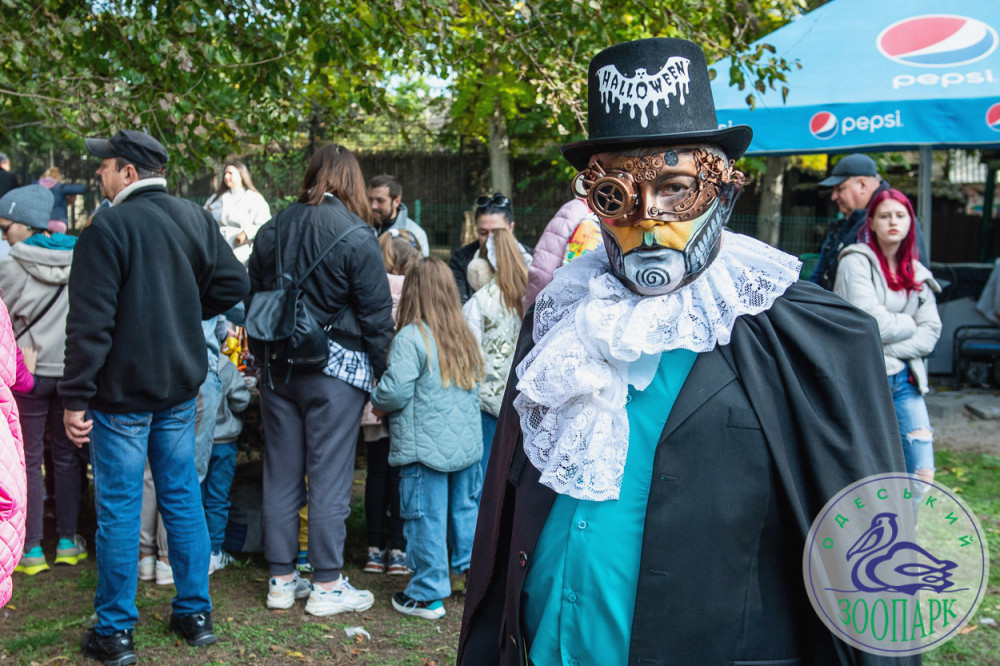 2419 image for slide