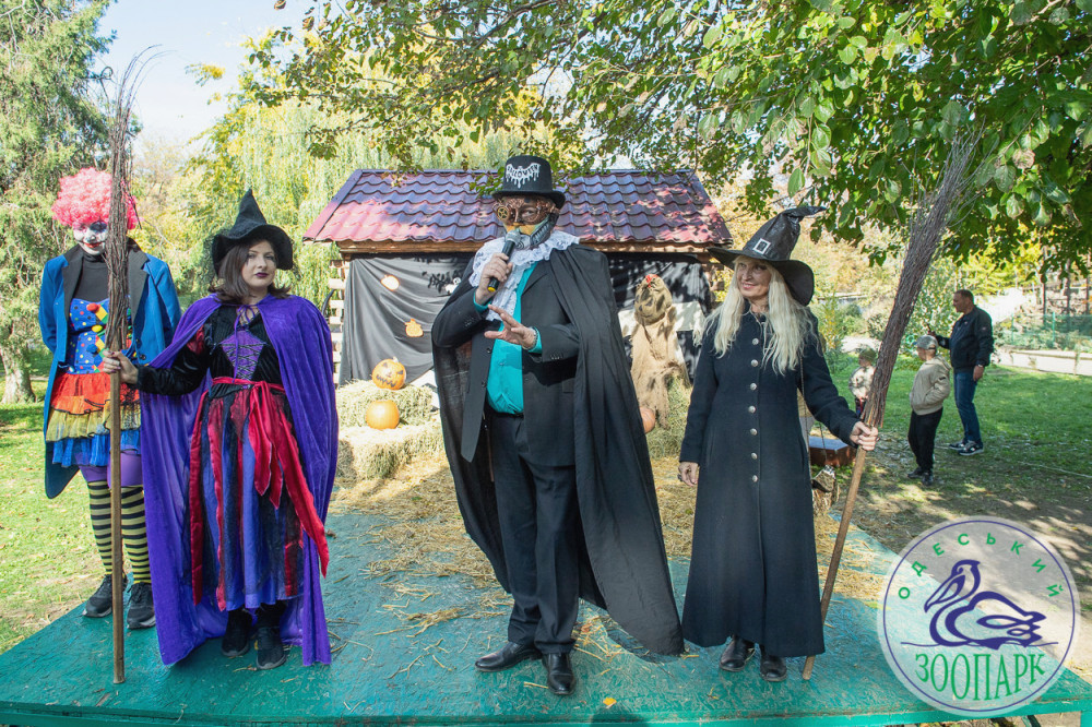 2421 image for slide