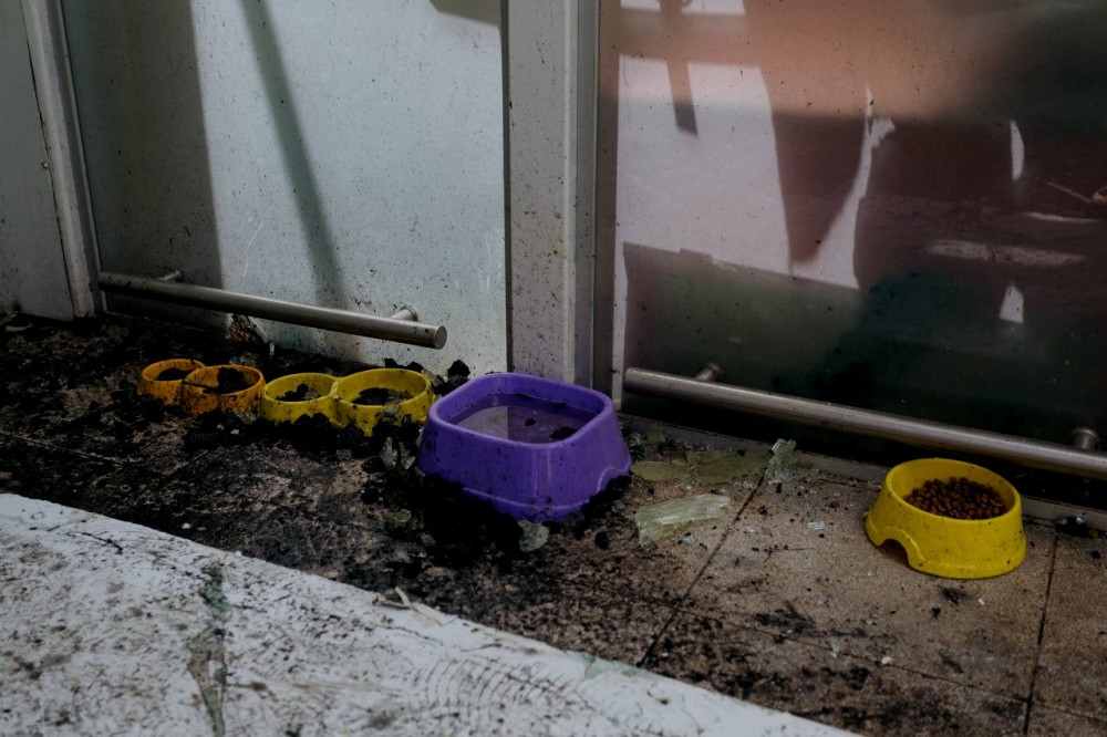 4496 image for slide