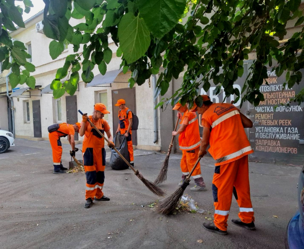 5282 image for slide