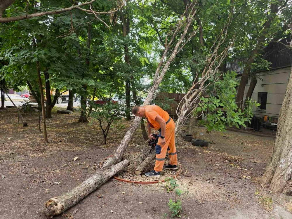 5285 image for slide