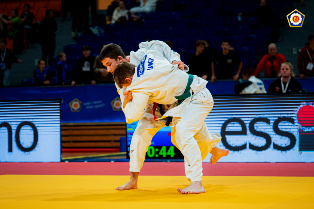 6465 image for slide