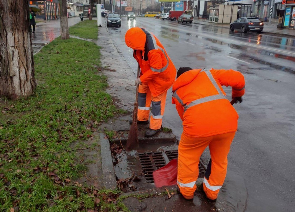 7283 image for slide