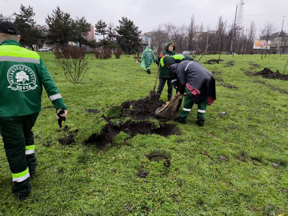 7297 image for slide