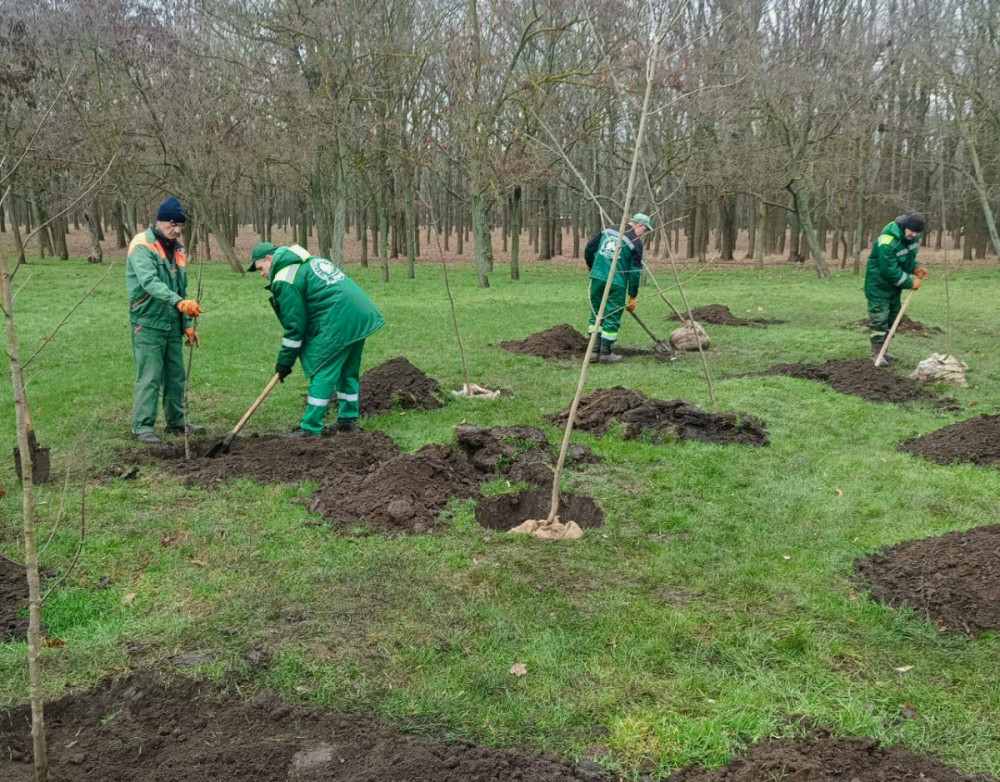 7298 image for slide