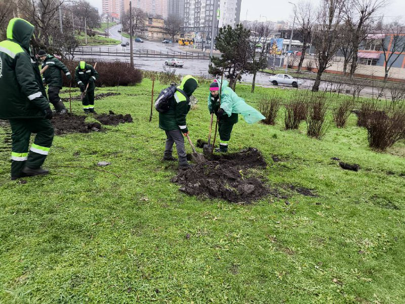 7300 image for slide