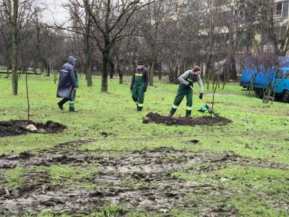 7302 image for slide